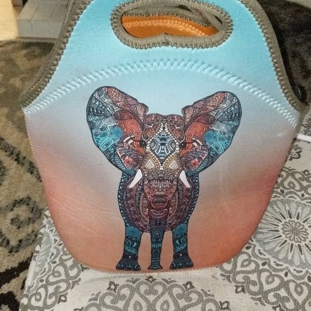 INSULATED LUNCHBAG...VERY ARTFUL